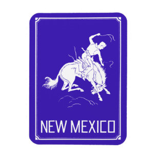 Imán Nuevo México vintage
