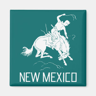 Imán Nuevo México vintage