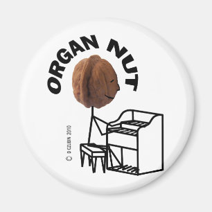 Imán Nuez de órganos