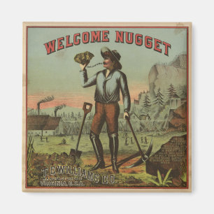 Imán Nugget-1904 agradable