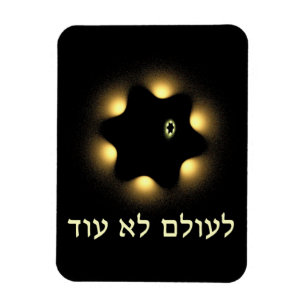 Imán Nunca Más La Estrella Fractal De David