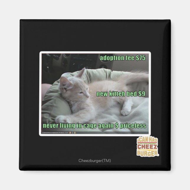 Imán Nunca más viviendo en una jaula (Frente)