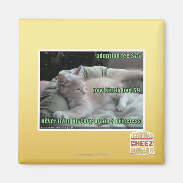 Imán Nunca más viviendo en una jaula (Frente)