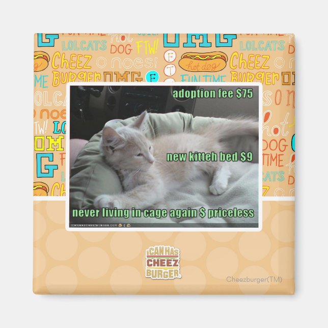 Imán Nunca más viviendo en una jaula (Frente)