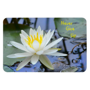 Imán Nunca te des por vencida Lily del Agua