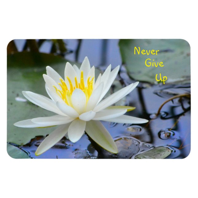 Imán Nunca te des por vencida Lily del Agua (Horizontal)