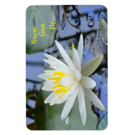 Imán Nunca te des por vencida Lily del Agua