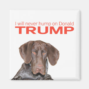 Imán ¡Nunca voy a zumbar sobre Donald Trump!