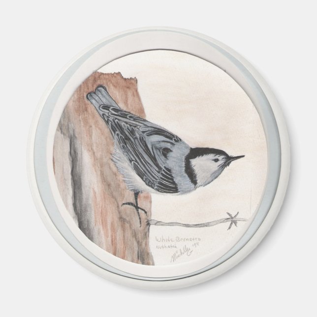 Imán nuthatch con pechos blancos (Frente)