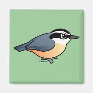 Imán Nuthatch de pecho rojo