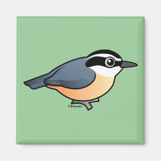 Imán Nuthatch de pecho rojo