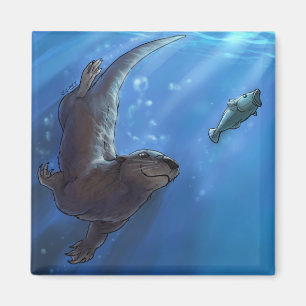 Imán Nutria de la natación