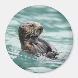 Imán Nutria de mar de observación