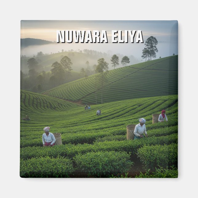 Imán Nuwara Eliya Tea Plantation Sri Lanka (Frente)