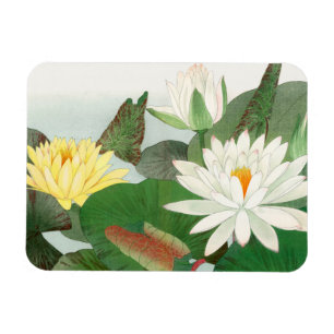 Imán Nymphaea lotus, grabado en madera japonés, 1917