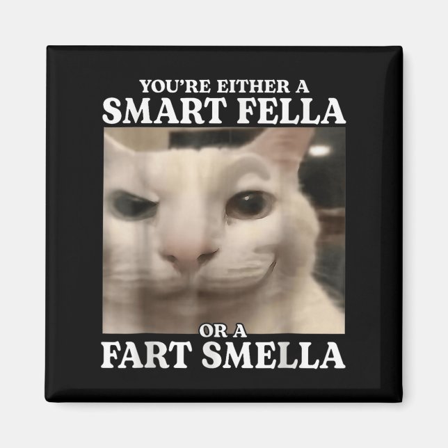 Imán O eres un chico inteligente o un gato de felpa (Frente)