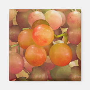 Imán O.N.U-Cólera de las uvas