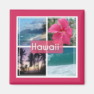 Imán Oahu, capa marina de Hawaii