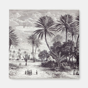 Imán Oasis de Gafsa: Túnez