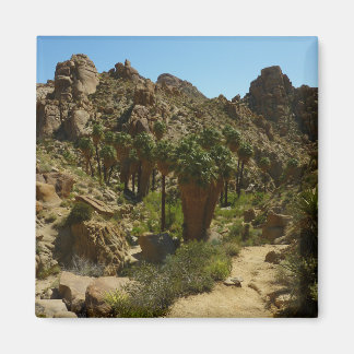 Imán Oasis de Lost Palms II en el Parque Nacional Joshu