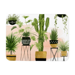 Imán Oasis interior