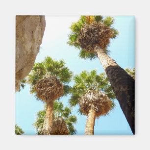 Imán Oasis Palms en el Parque Nacional Joshua Tree