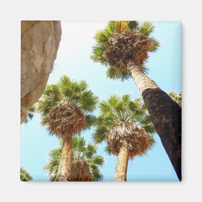 Imán Oasis Palms en el Parque Nacional Joshua Tree (Frente)