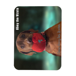 Imán Obedece al Gorra Vizsla Chewy