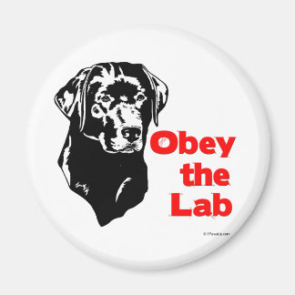 Imán Obedece al laboratorio