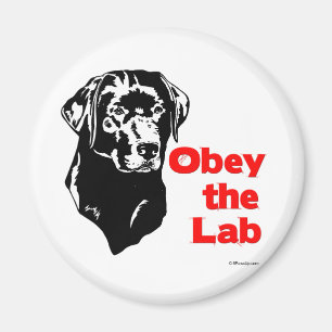 Imán Obedezca el laboratorio
