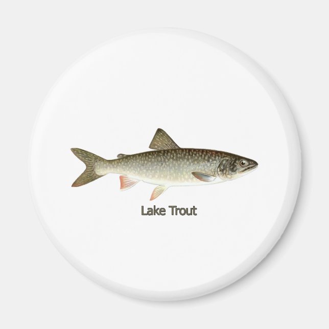 Imán Obra de arte de Lake Trout (Frente)