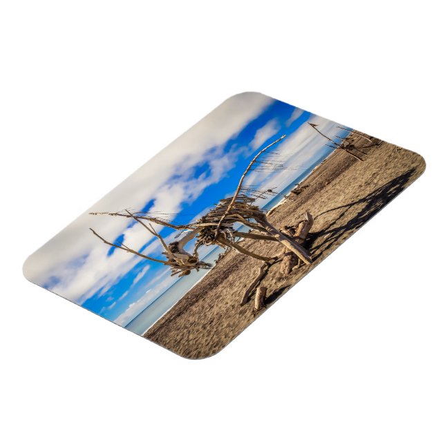 Imán Obra de arte en la playa de Hokitika, Nueva Zeland (Lado Izquierdo)