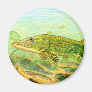 Imán Obra de arte ganadora de R. Hinkens, grado 5