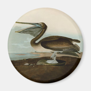 Imán Obra de arte Pintura de pelícano marrón de John Ja