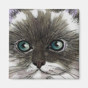 Imán observado azul del gato