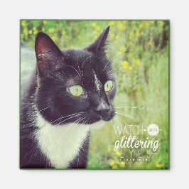 Imán Observar con ojos brillantes