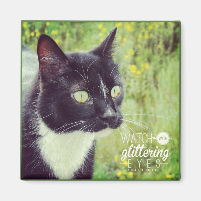 Imán Observar con ojos brillantes (Frente)