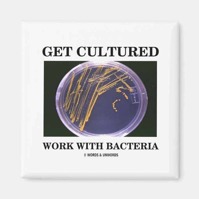 Imán Obtén Trabajo Culturado Con Bacterias (Placa Agar) (Frente)