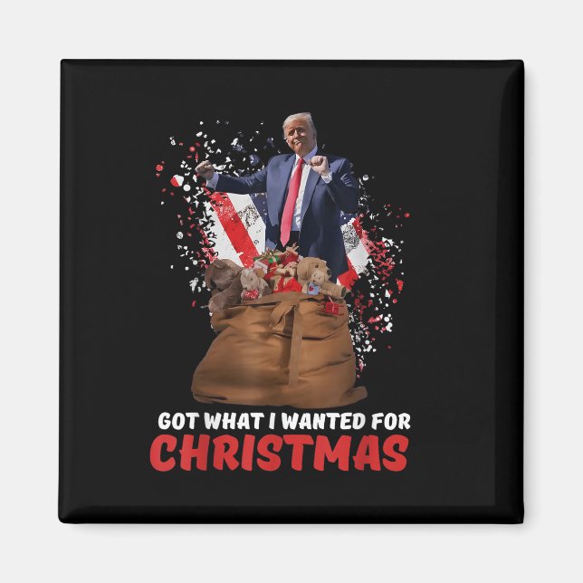 Imán Obtuve Lo Que Quería Para Los Navidades - Trump Ga (Frente)