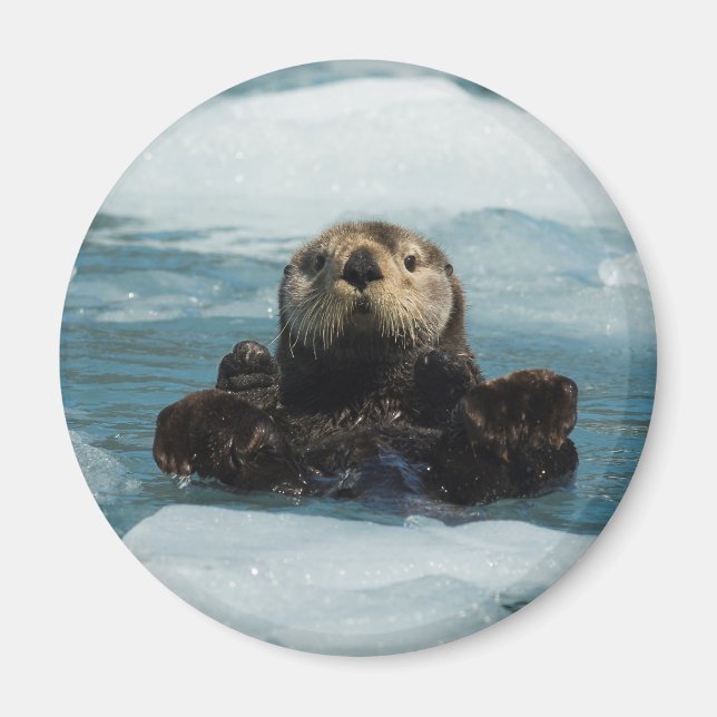 Imán Obús flotante (Frente)