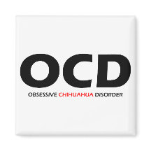OCD - Trastorno obsesivo de Chihuahua