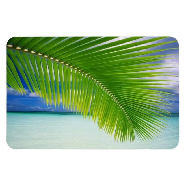 Imán oceánico tropical (Horizontal)