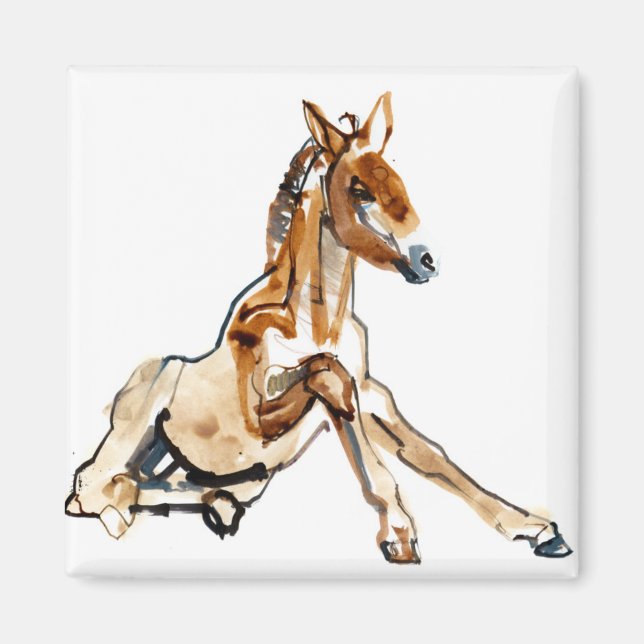 Imán Ochre Foal (Frente)