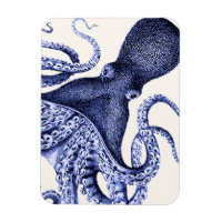 Octopus azul paisajístico