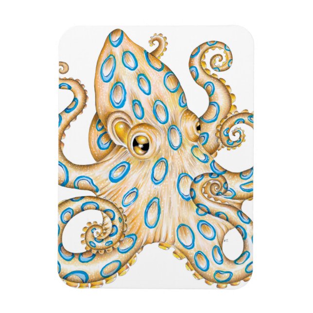 Imán Octopus de anillo azul sobre tinta blanca (Vertical)