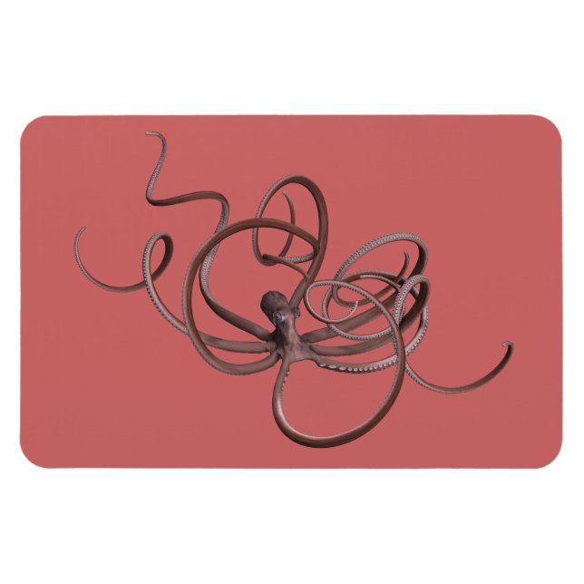 Imán Octopus gigante (Horizontal)