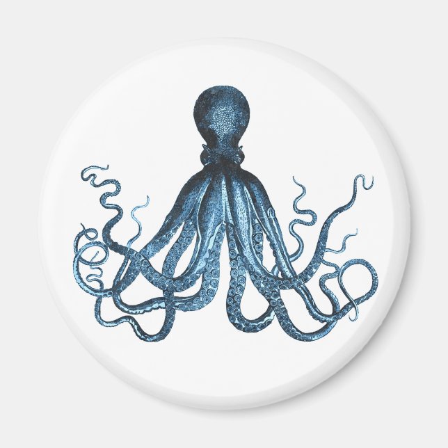 Imán Octopus kraken playa marina costera océano (Frente)