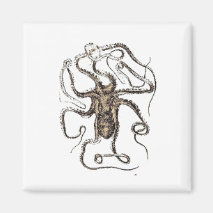 Imán Octopus marrón vintage Naturaleza náutica arte