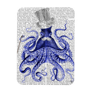 Imán Octopus sobre la ciudad