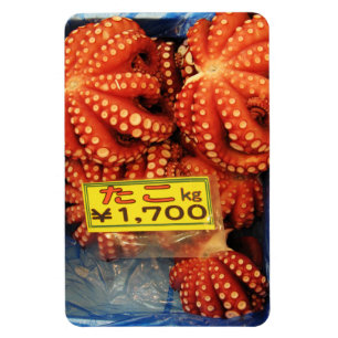 Imán Octopus Tako た こ mercado de pescado de Tsukiji, To